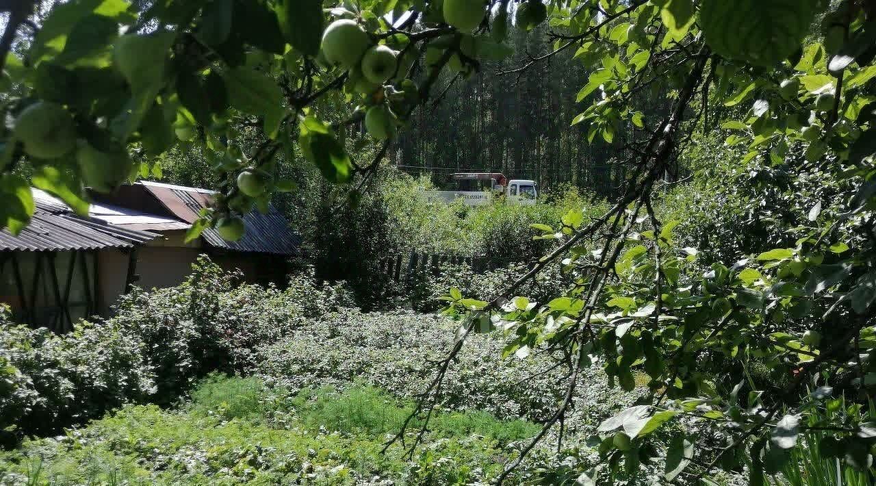 дом г Екатеринбург Ботаническая тер Садоводческое товарищество Геолог 3, Рассвет фото 10