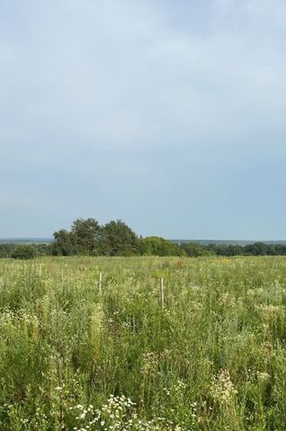 жилой комплекс Свой Черёмушки, Буревестник фото