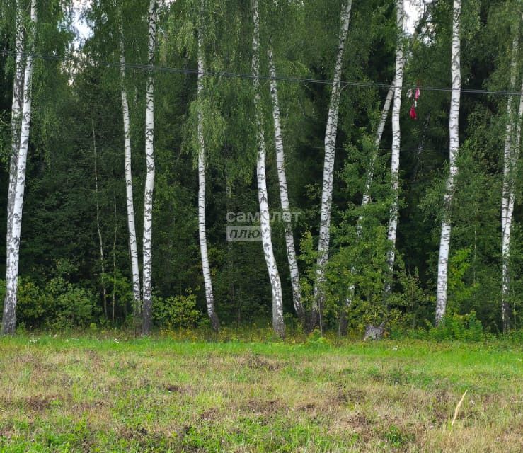 земля г Домодедово Лес, городской округ Домодедово, Сонинский фото 7