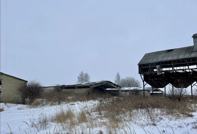 с Кошелевка Спасск фото