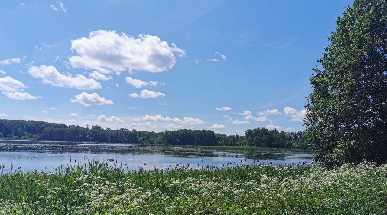 земля городской округ Дмитровский д Афанасово Объединения Южное Афанасово тер фото 18