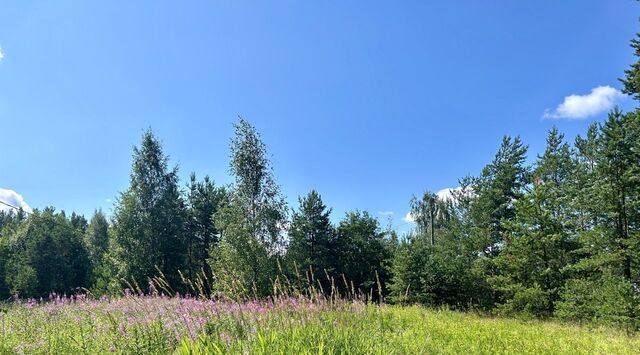 земля Рощинское городское поселение, ул. Заречная фото