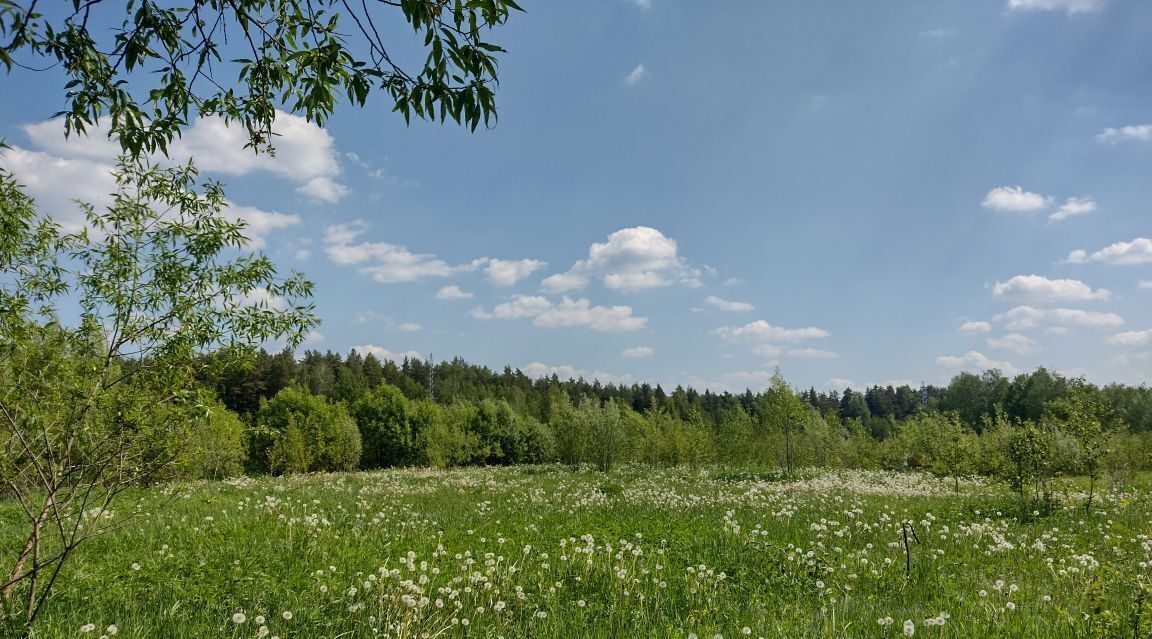 земля городской округ Богородский г Ногинск фото 2