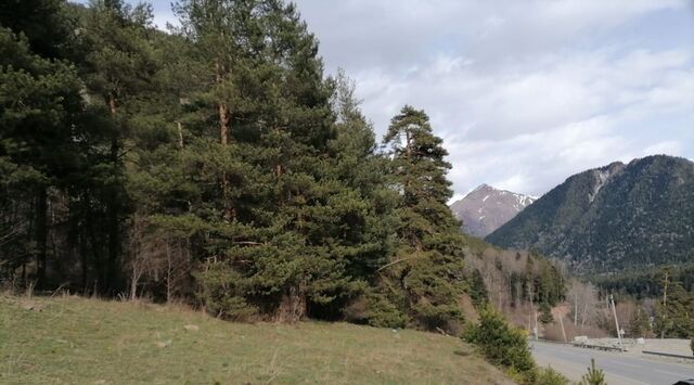 р-н Зеленчукский с Архыз Архызское сельское поселение фото