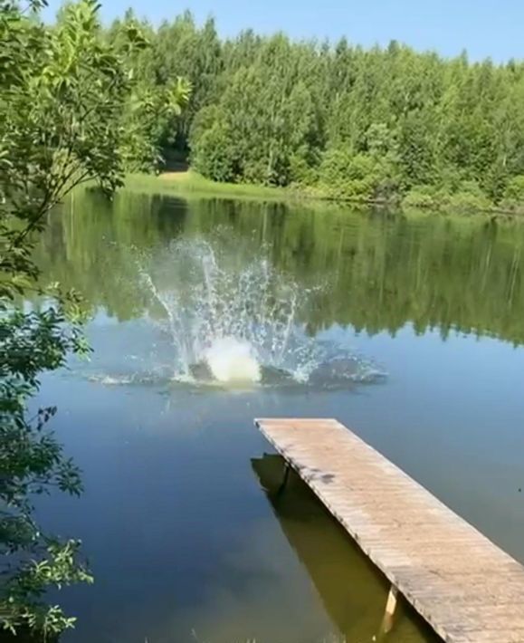 земля городской округ Сергиево-Посадский д Трёхселище фото 4