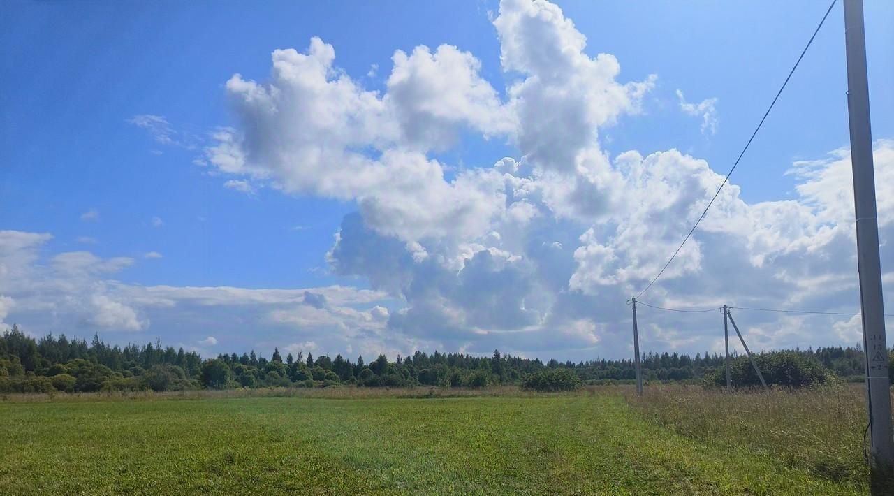 земля р-н Псковский д Малая Листовка Логозовская волость фото 2