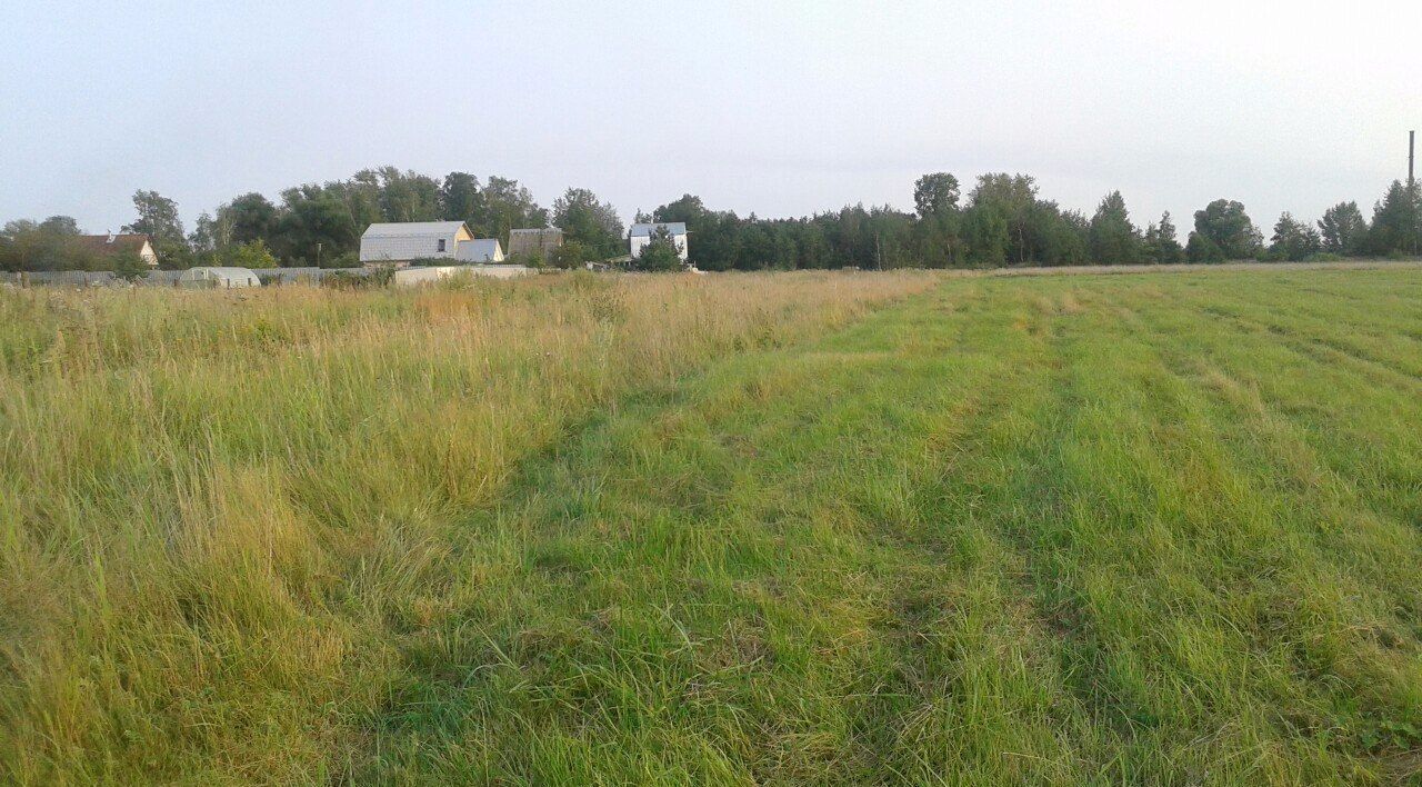 земля городской округ Коломенский с Нижнее Хорошово 83 км, Коломна, Новорязанское шоссе фото 3