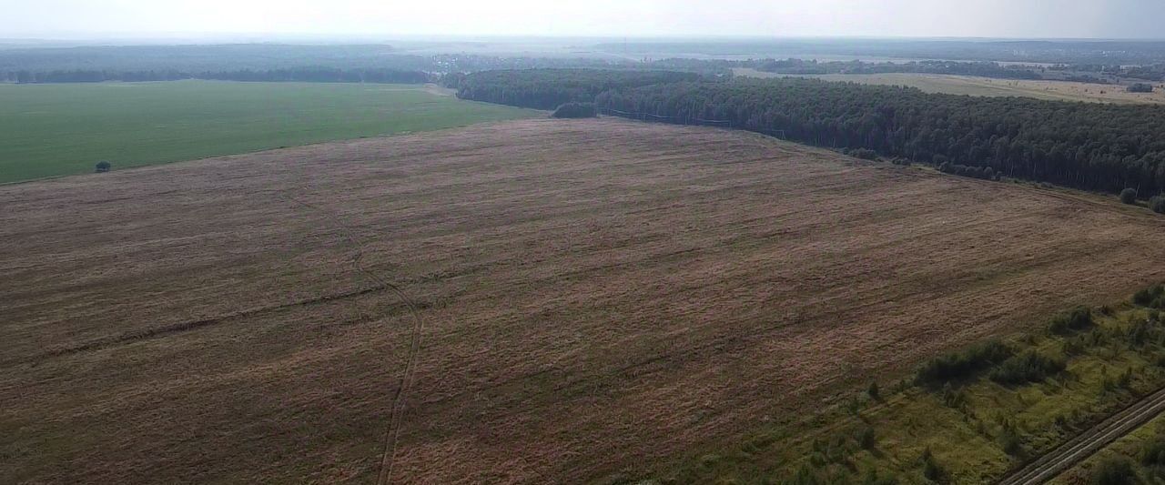 земля городской округ Раменский д Аргуново фото 1