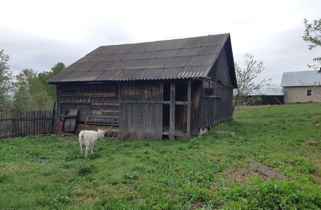 земля пер Линейный фото