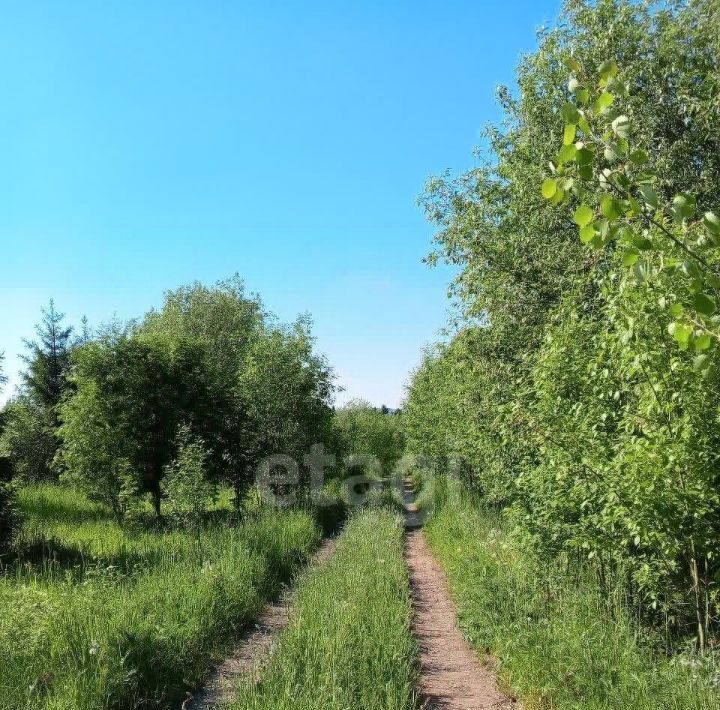 земля г Добрянка д Городище Междуречье кп фото 3