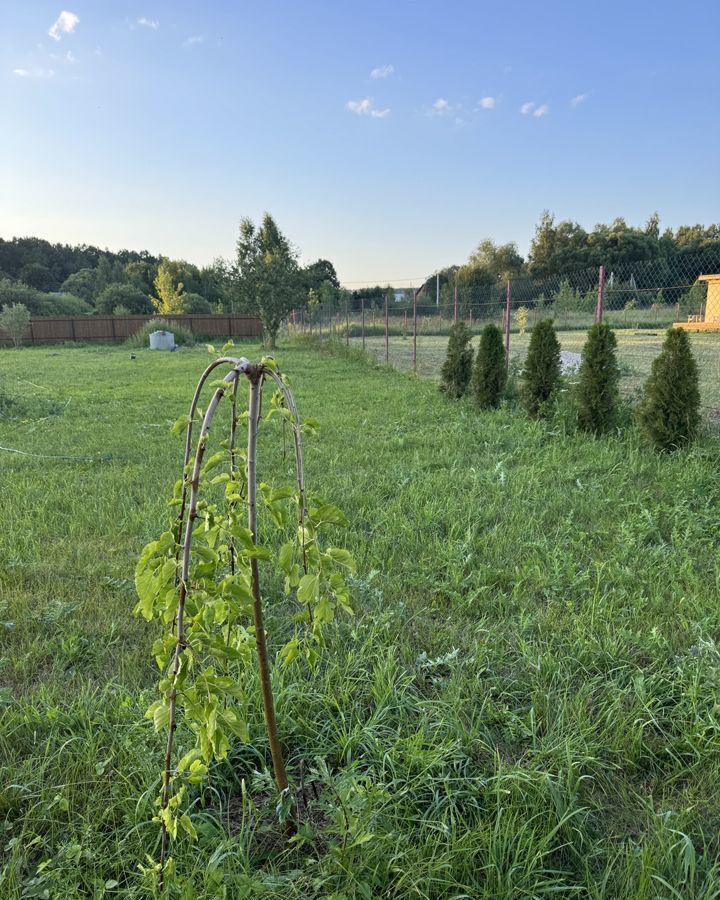 земля городской округ Серебряные Пруды д Ливадия 138 км, Серебряные Пруды, Каширское шоссе фото 4