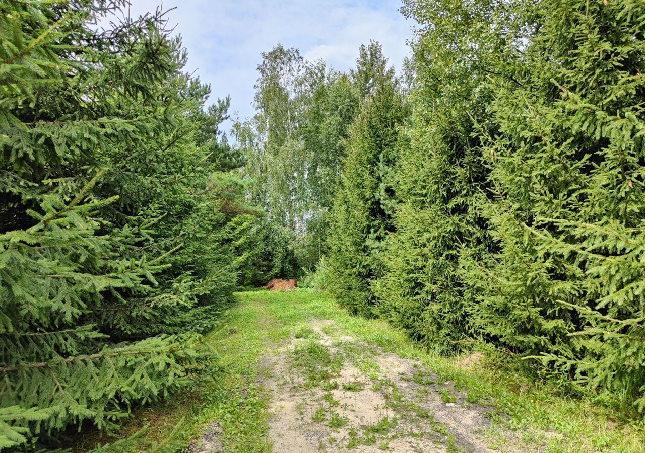 земля городской округ Чехов д Люторецкое ул Солнечная 17а Чехов фото 6