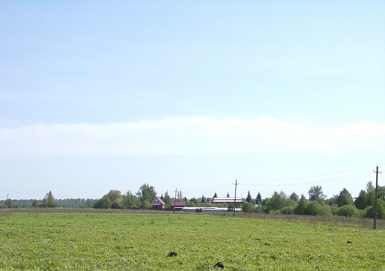 земля городской округ Чехов д Васькино Чехов фото 2