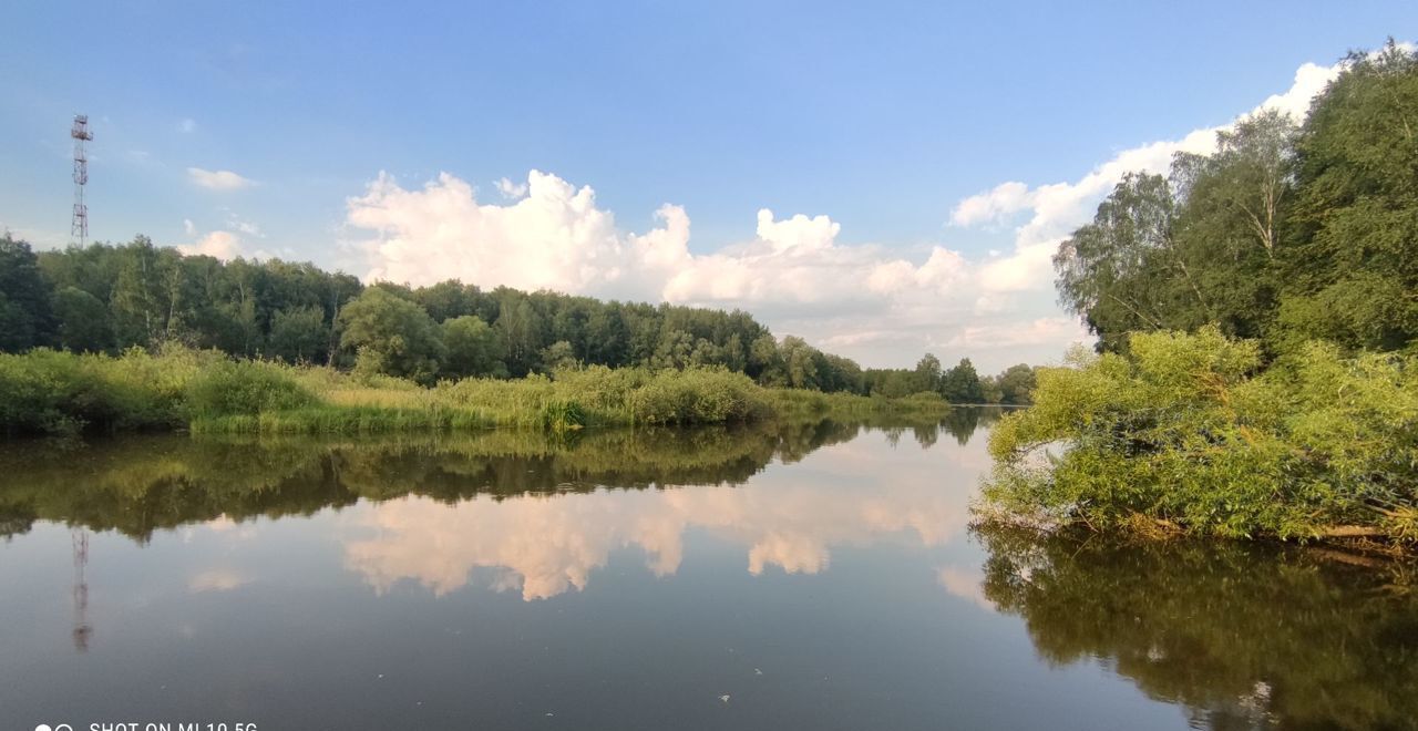 земля городской округ Клин д Губино днт Чистые пруды ул Изумрудная Клин фото 2