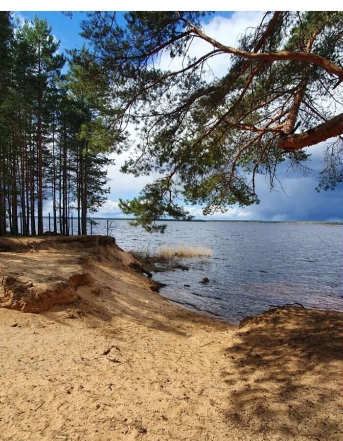 земля р-н Череповецкий д Коротово сельское поселение Уломское, Суда фото 16