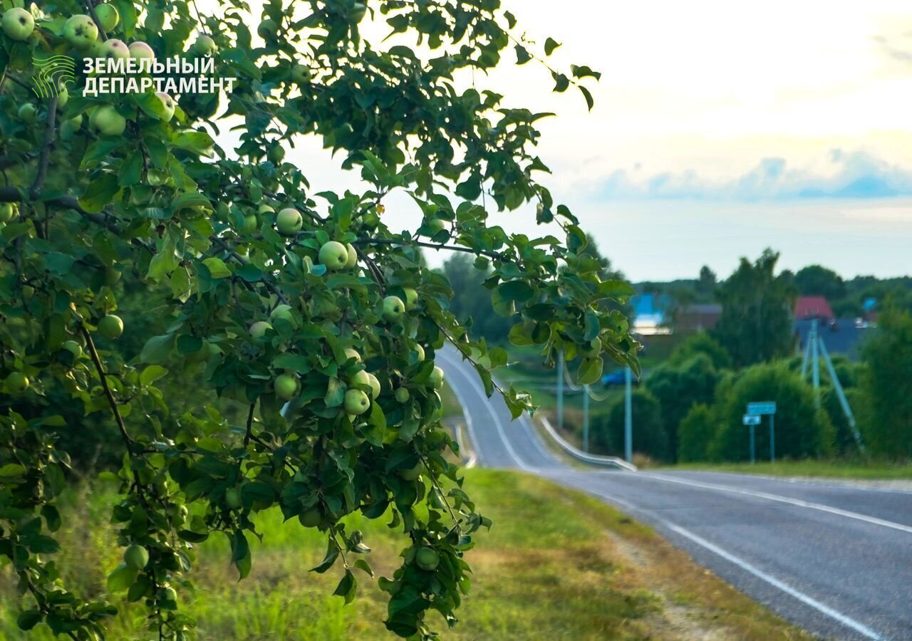 земля городской округ Шаховская с Раменье ул Радужная Лотошино фото 12