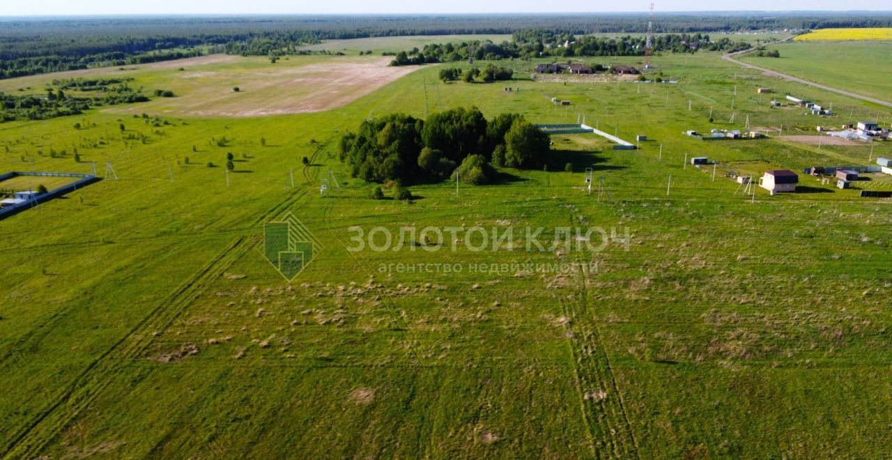 земля городской округ Сергиево-Посадский д Фалисово Вербилки фото 3