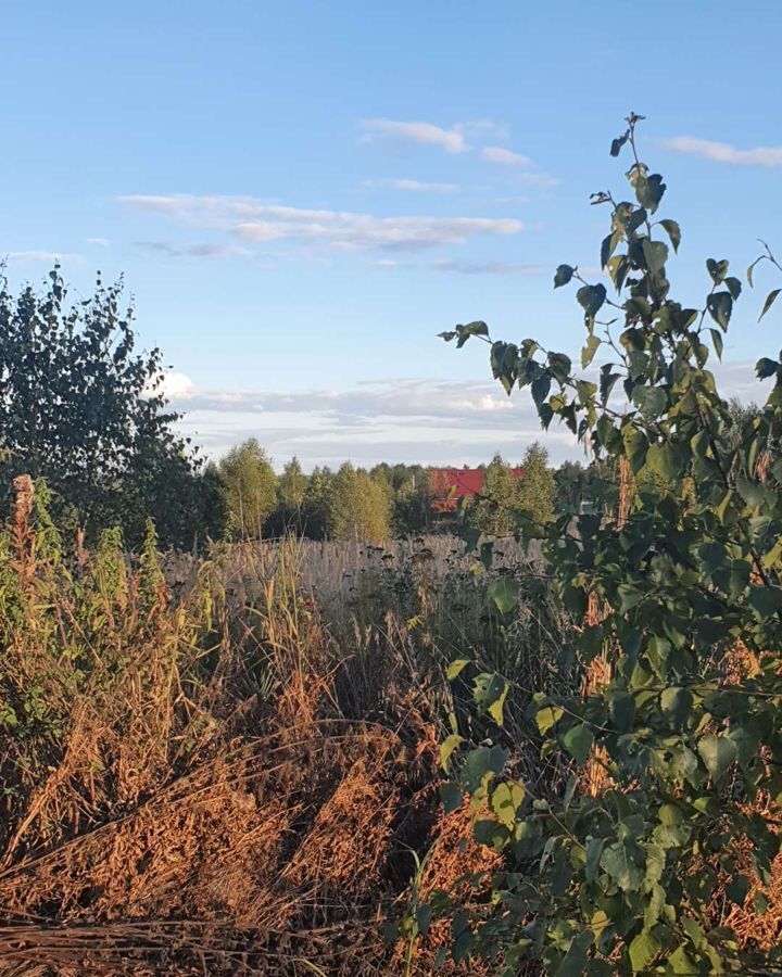 земля городской округ Ступино д Колюпаново снт Воскресенки 74 км, Ступино, Новокаширское шоссе фото 4