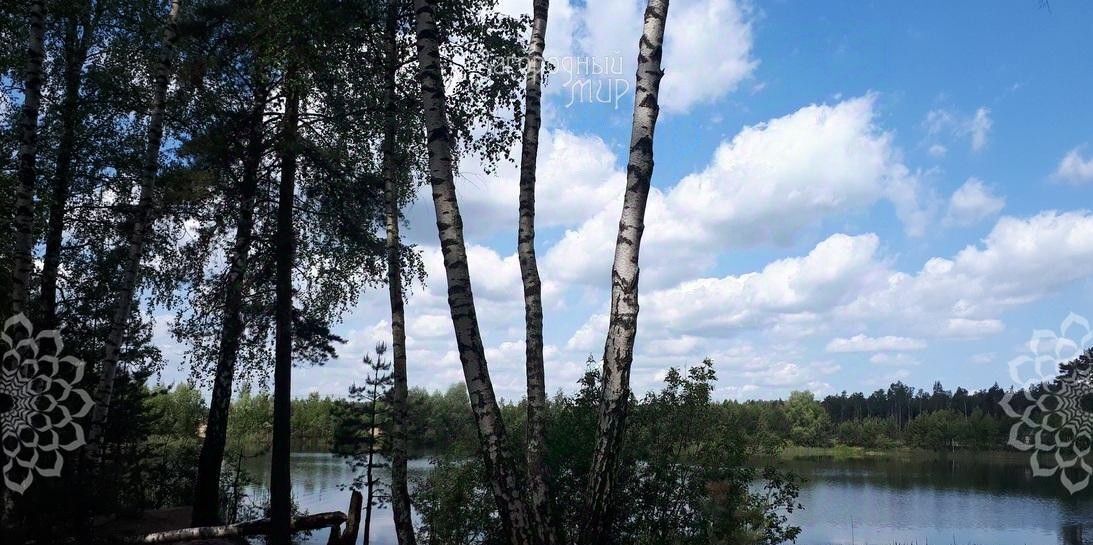 земля городской округ Богородский с Балобаново ул Набережная фото 6