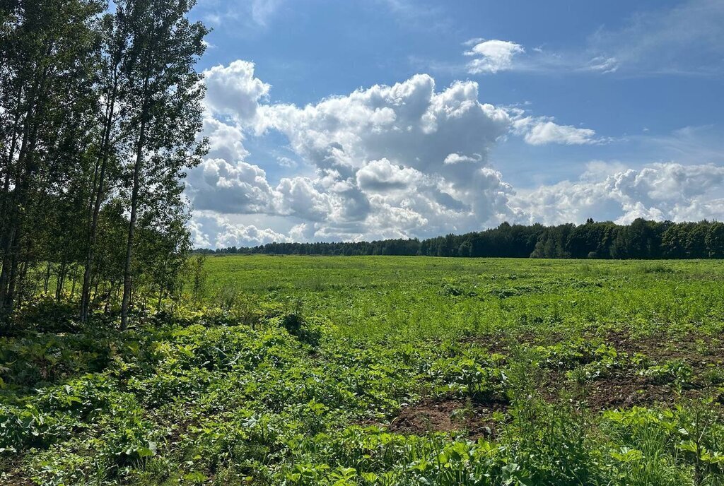 земля городской округ Дмитровский коттеджный поселок «Сорочаны» городской округ Клин фото 1