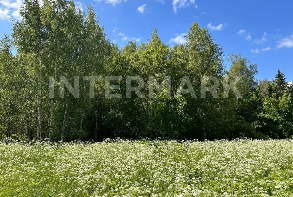 земля г Солнечногорск Зеленоград — Крюково, городской округ Солнечногорск фото 2