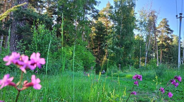 Коломна городской округ фото