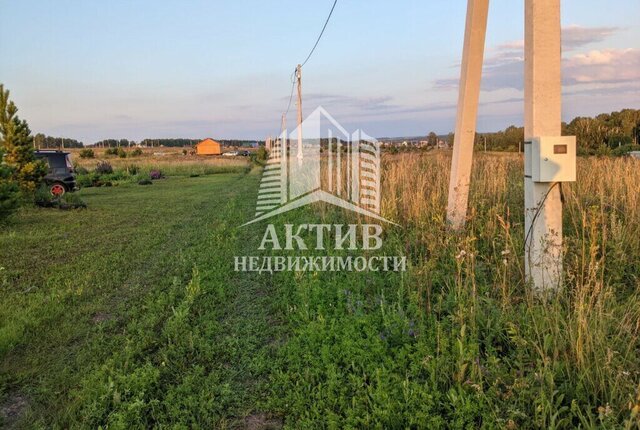 п Роща Шуваевский сельсовет, ДНТ Берёзовая фото