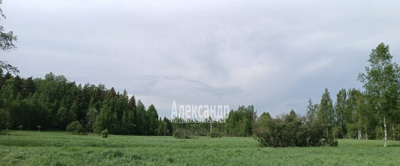 земля р-н Выборгский п Земляничное Каменногорское городское поселение фото 2