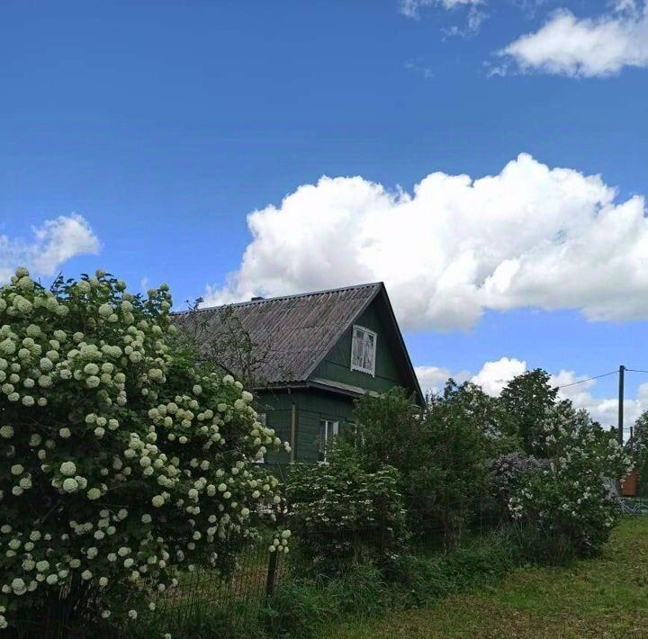 дом р-н Тосненский г Любань ул Круговая Любанское городское поселение фото 29