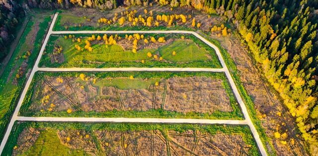 Кипенское сельское поселение, Санаторная улица фото