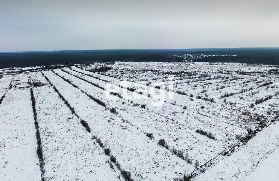 земля р-н Всеволожский Всеволожское городское поселение фото 8