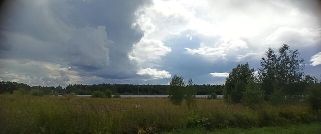 с Благовещенье Сергиево-Посадский городской округ фото