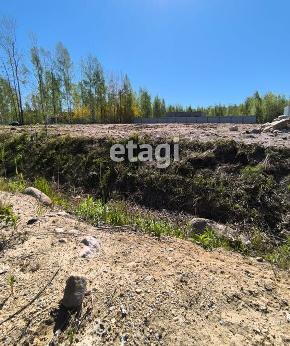 земля р-н Кировский снт Надежда Синявинское городское поселение, садоводческий массив Восход фото 5