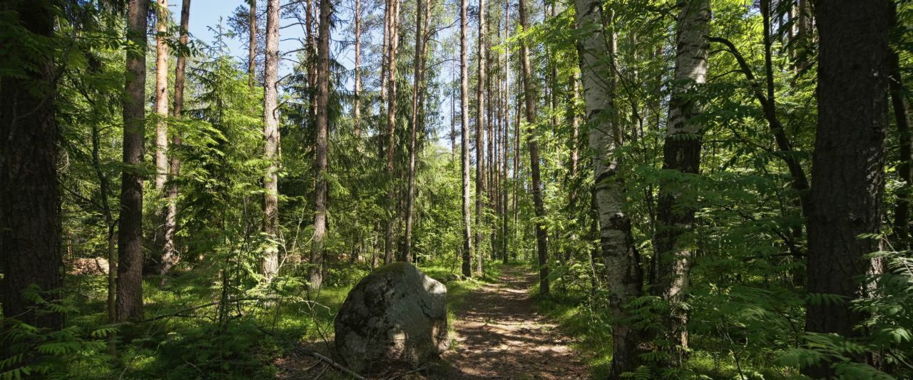 дом г Санкт-Петербург п Левашово Беговая, Про Левашово кп фото 16