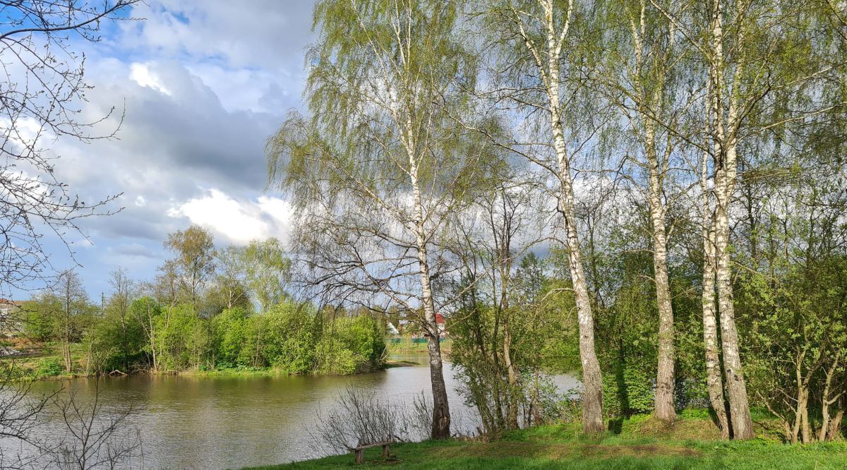 земля городской округ Наро-Фоминский д Афанасовка фото 1