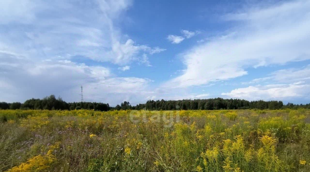 земля р-н Городецкий д. Максимовское фото 5