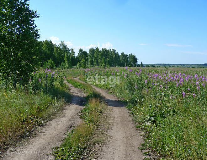 земля р-н Каслинский фото 3