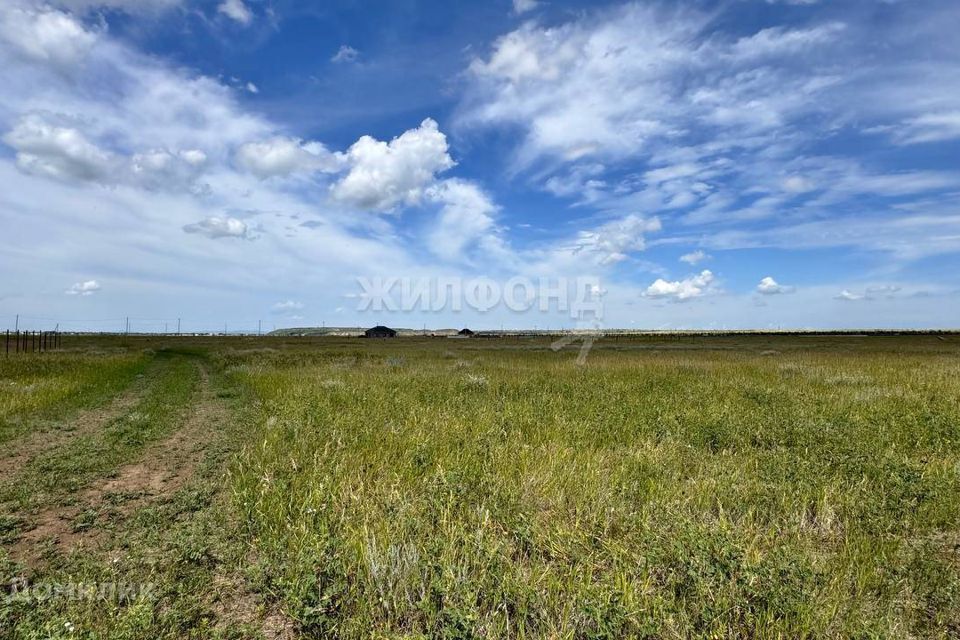 земля р-н Аксайский станица Ольгинская фото 2