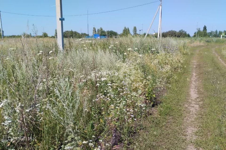 земля р-н Белгородский село Никольское фото 4