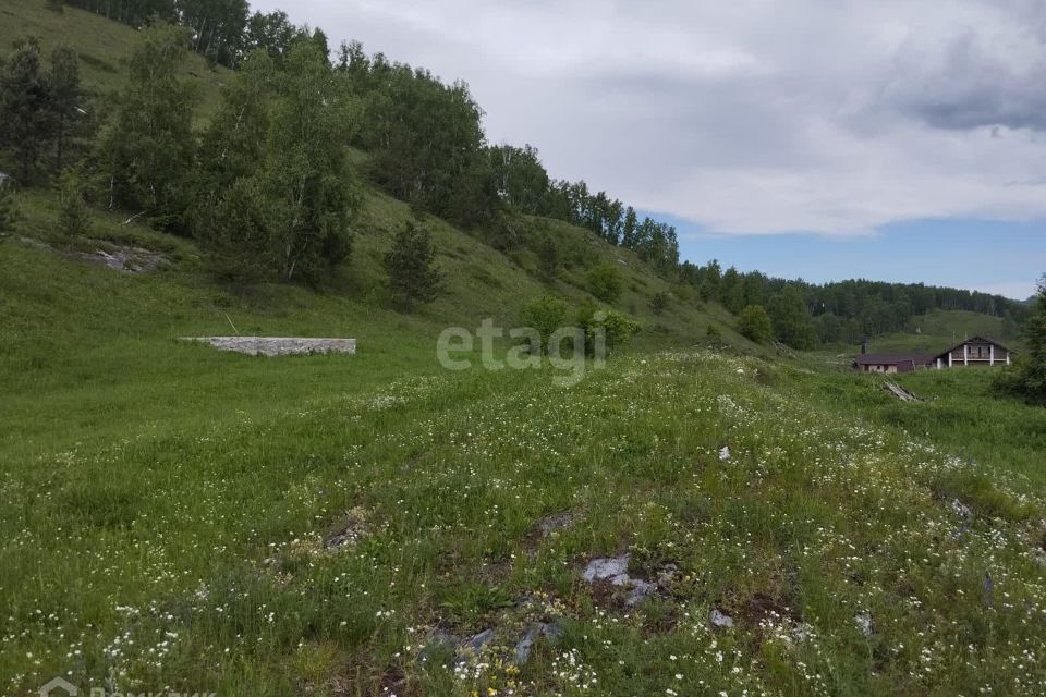 земля р-н Алтайский с Нижнекаянча ул Куйбышева фото 4