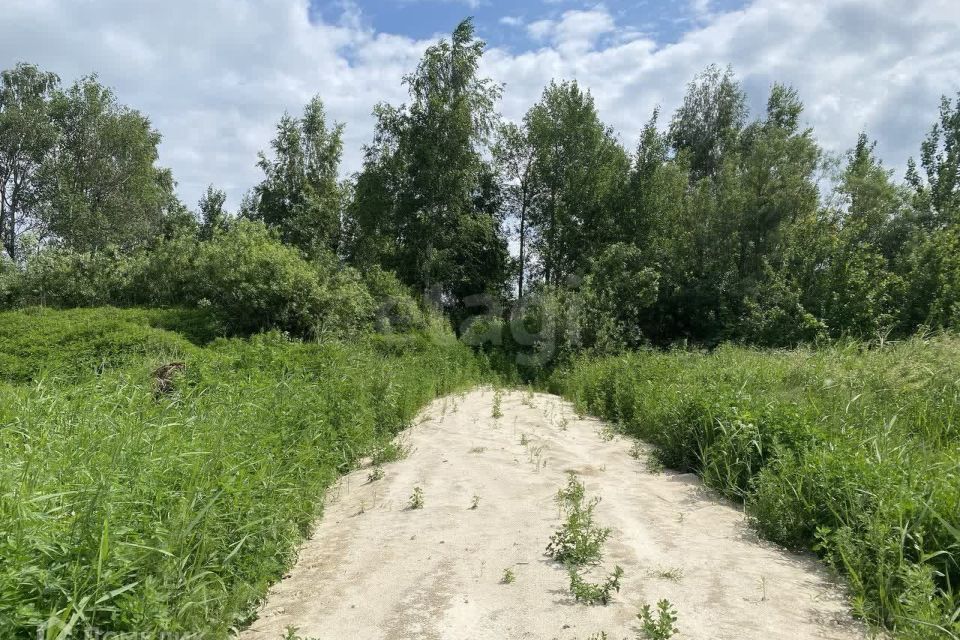 земля г Тюмень снт Поле чудес-2 ул Садовая городской округ Тюмень фото 6