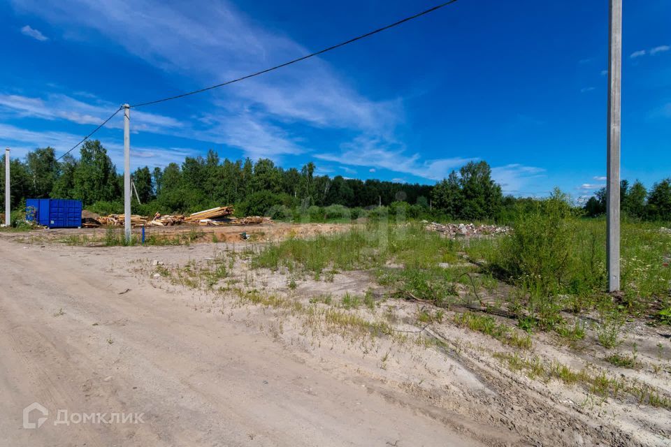 земля г Тюмень снт Поле чудес ул Виноградная городской округ Тюмень фото 5