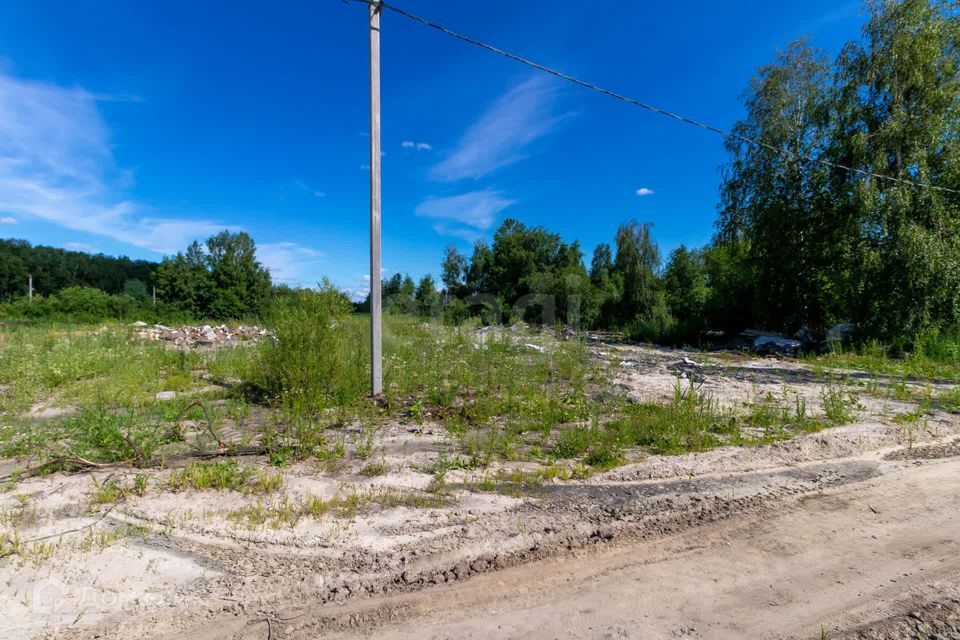 земля г Тюмень снт Поле чудес ул Виноградная городской округ Тюмень фото 6