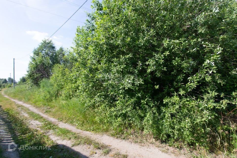 земля р-н Ишимский тер Садоводческое товарищество Дорожник Тобольск фото 6