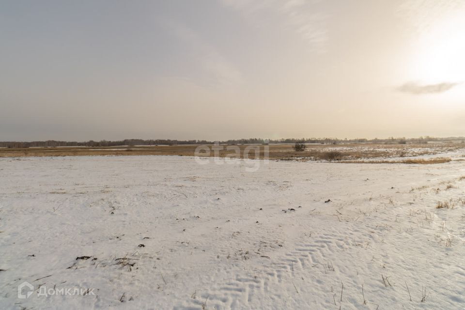 земля р-н Красноармейский село Канашево фото 5