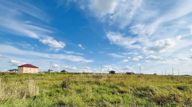 с Федосьино Коломна городской округ фото