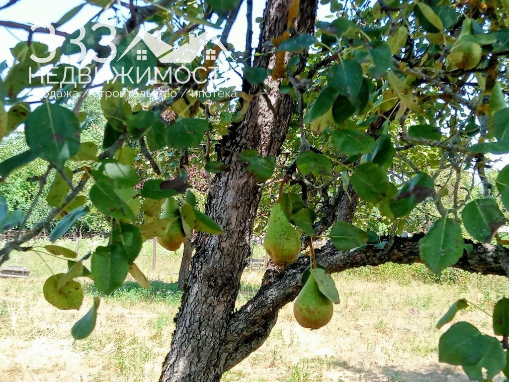 земля р-н Алагирский с Црау ул Комсомольская 21д фото 1