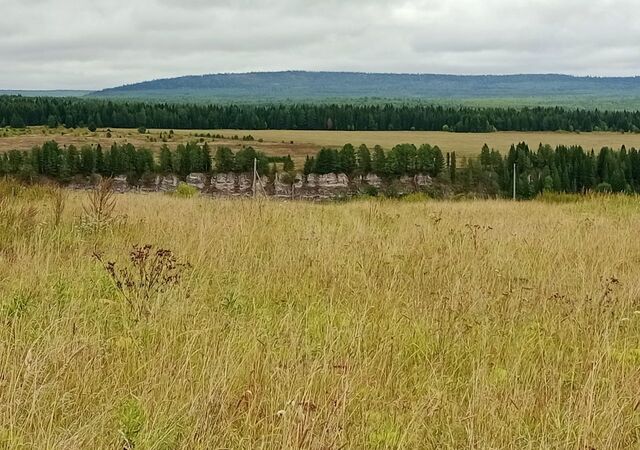 земля с. Чусовое Шайтанка фото