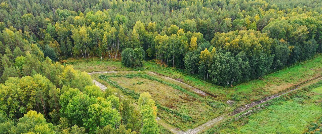 земля р-н Приозерский д Четверяково с пос, Сердце Вуоксы кп, Красноозерное фото 7