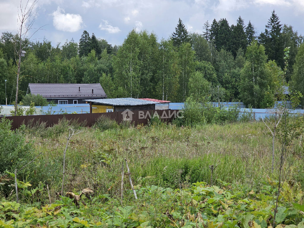 земля городской округ Дмитровский д Лупаново фото 3